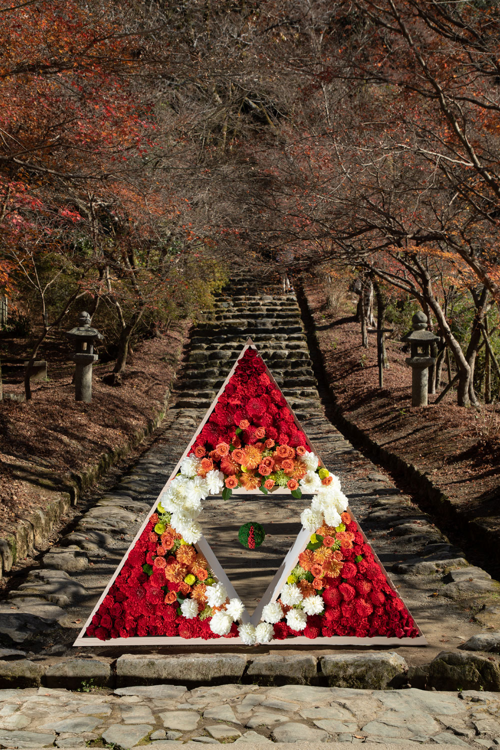 アルテリア の 葉